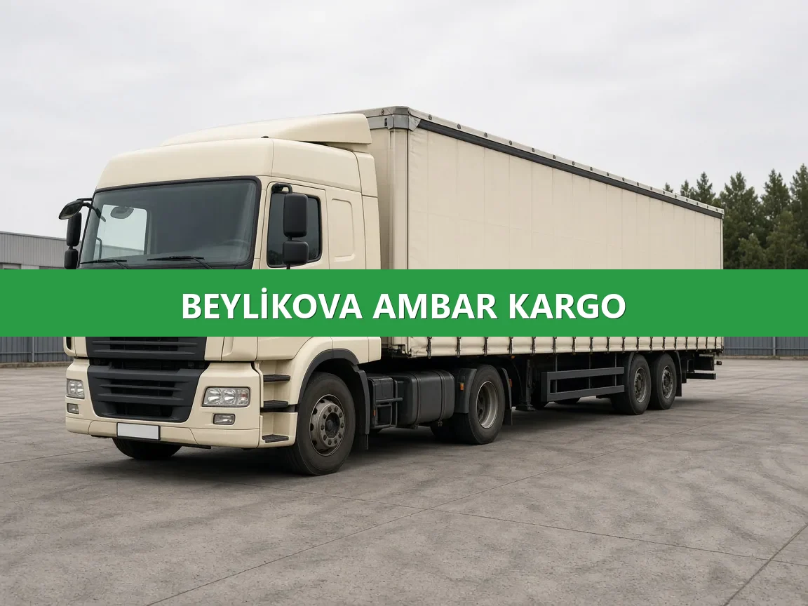 Beylikova Ambar Kargo